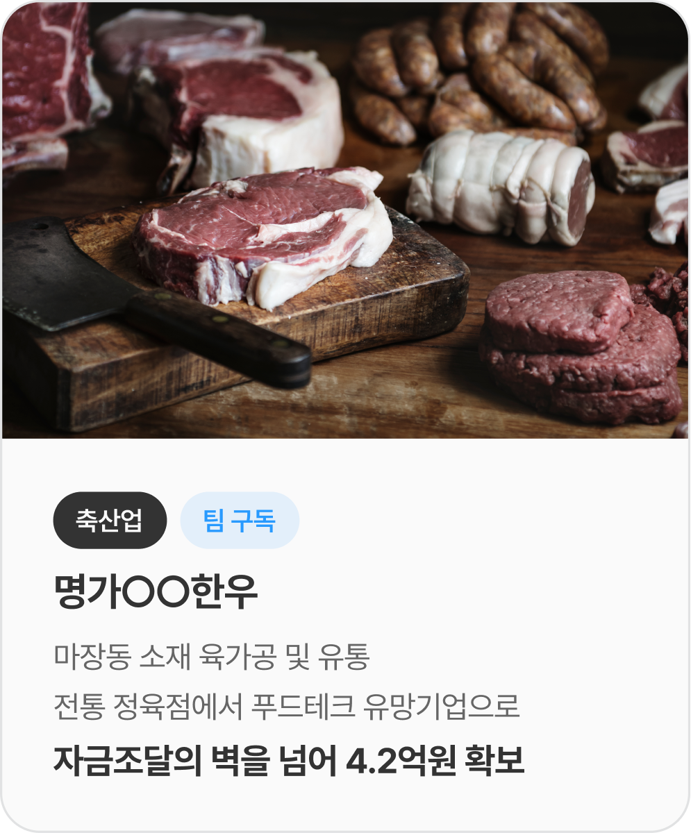 자금조달 성공사례 1